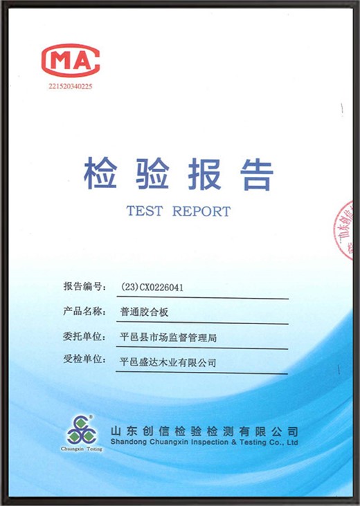 普通胶合板检验报告
